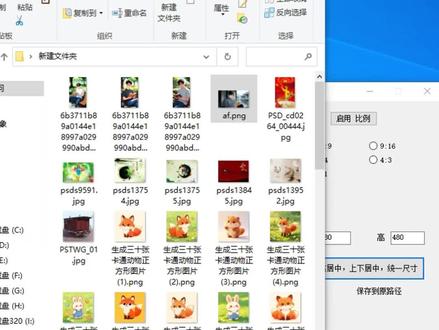 裁切并统一尺寸_指定比例 大量图片统一尺寸 统一图片大小 统 如果你有很多图片,你想批量统一它们的尺寸,比如说全部改为16:9,或者改为9比16,或者是其他比例,那么你可以使用这个工具,最好图片的尺寸比例要相似,在这里我们就,随便弄一些图片前来测试,所有的图片全部拖进这个方框中,我们点击第一个按钮,然后就可以选择这些比例,当我们选择比例的时候,下面的数字就会跳动,当然这些数字也可以手动修改,比如说我们全部都改为9比16,我们稍微等待一会,处理成功了。
#图片同比例长宽缩小
#统一照片大小
#统一图片大小
#裁切并统一尺寸
#如何统一图片的长宽
#图片比例修改器
#大量图片怎样统一调整尺寸
#图片调整尺寸