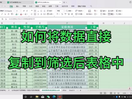 如何将数据直接复制到筛选后表格中 #office办公技巧 #办公技巧 #wps表格技巧 #WPS办公技巧 #学习分享