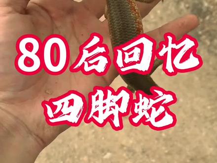 80后童年回忆四脚蛇#80后童年回忆