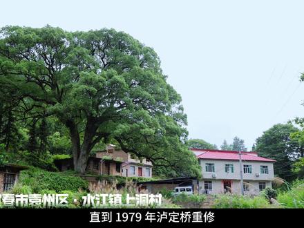 《飞夺泸定桥》二十二勇士, 有哪位来自你的家乡?你还记得他们的名字吗?我先抢答——江西宜春袁州刘梓华#山河家书 #致敬