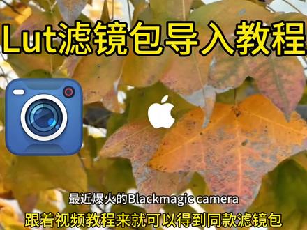 《千灯大全》馆长+影视飓风全套lut滤镜包分享 BlackmagicCam使用教程调色包lut分享
#blackmagic #使用教程 #馆长lut #lut调色#苹果调色log