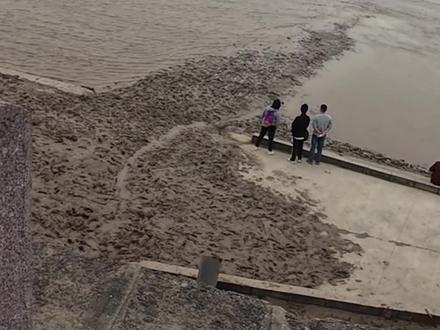 这究竟是海是江还是湾? #海盐县 #杭州湾 #观海园