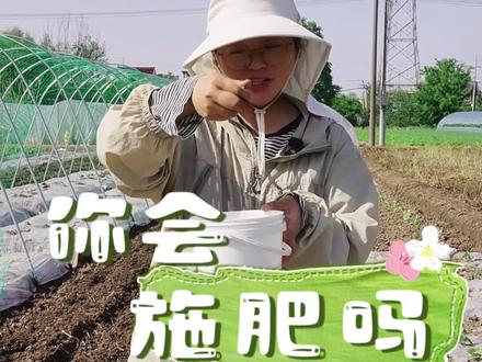 你真的会施肥吗? #施肥 #种植小技巧 #种菜 #我的小菜园 #关注我一起学种菜