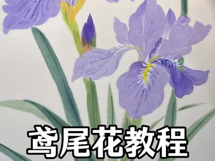国画鸢尾花完整详细的绘画教程#跟着抖音学画画 #鸢尾花 #非遗祈福百景图 #百young非遗计划 #平子国画