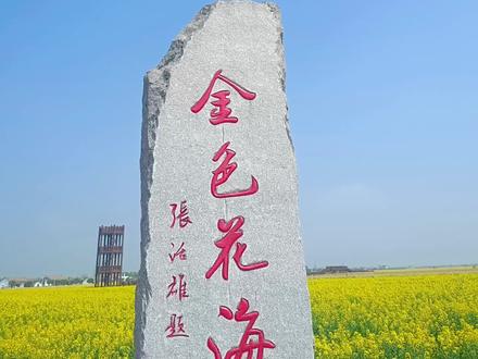 大美江湖,花漾君山。第十三届岳阳市君山区良心堡镇油菜花节,3月12日盛大开幕#岳阳 #良心堡镇 #油菜花节 #春天油菜花 #迎风摇曳的油菜