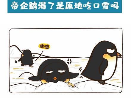 帝企鹅口渴了怎么办,原地吃口雪吗?#冷知识 #野生动物