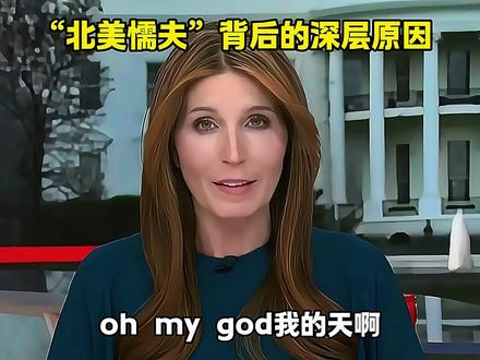 枪支合法却无法反抗暴政?“北美懦夫”背后的深层原因 #硬核深度计划 #零基础看懂全球 #国际