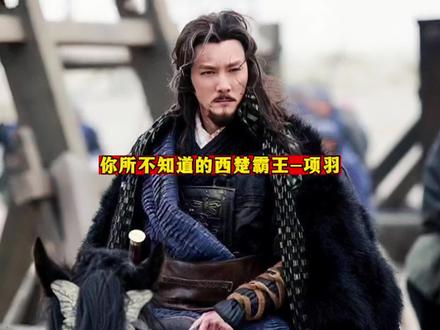 你所不知道的西楚霸王-项羽 #历史 #项羽 #西楚霸王