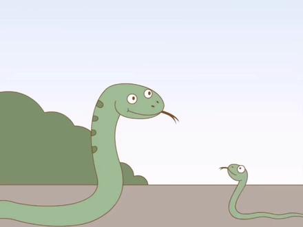 这是小蛇,是不是傻呀?#儿童动画