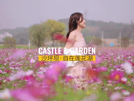 我在重庆沙坪坝发现了一大片格桑花花海,城堡和花园像极了莫奈的油画作品#重庆dou知道 #浪漫花海 #重庆周边游