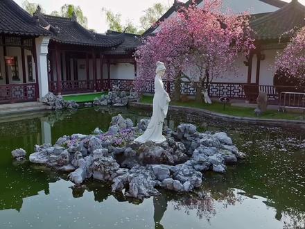 不用东奔西跑,一条线路逛遍建邺春色!#莫愁湖海棠花会 #南京旅游攻略 #建邺春日路线 #春日赏花计划 #我该怎么和你形容莫愁湖的浪漫