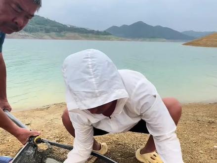 原来不仅鱼会有 人也会有蚕豆病啊 #脆肉鲩#蚕豆病#蚕豆