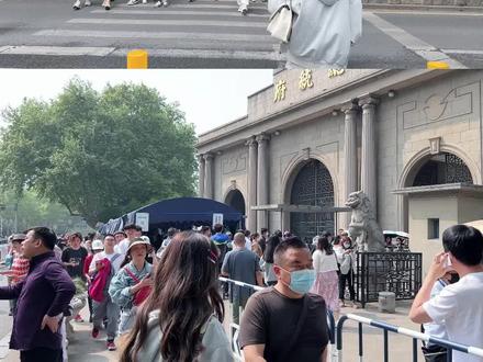 不排队版南京旅游攻略,好玩好吃全都有!#南京旅游攻略 #南京 #旅游 #薛薛小姨
