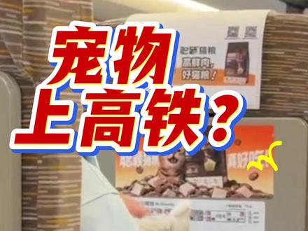 宠物也可以上高铁了??? #爱宠行 #高铁 #托运 #猫猫日常 #狗狗的日常
