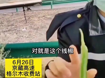 6月26日,京藏高速格尔木收费站。线椒不算辣椒无法走绿色通道?青海高速回应:已道歉放行!这事你怎么看?