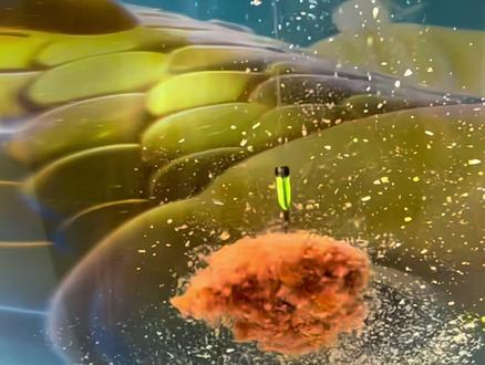 春钓鲫、鲤能把老蓝鲫打闭口的饵料研发出来了!就是这款龙王恨新品鲜奶狠活!专为春夏季节鱼儿研发。而且一包单开即可通钓各种水域。现在新品活动非常给力。钓友们不要错过#户外钓鱼 #饵料推荐 #野钓 #钓鱼人 #春季钓鱼技巧