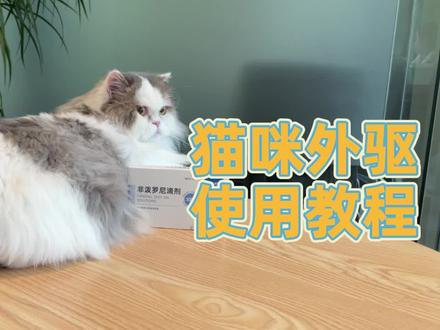 猫咪体外驱虫使用教程#萌宠出道计划 #科学养宠攻略 #驱虫 #宠物用品推荐