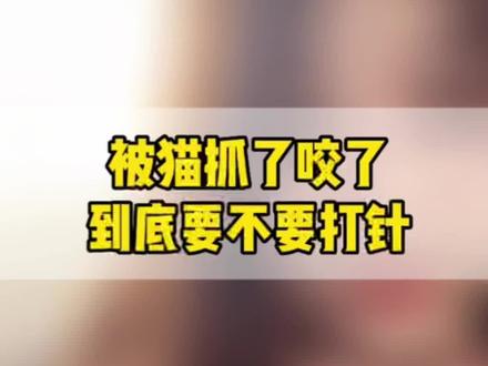 被家里的猫抓了咬了要不要打针?被野猫抓破皮了要不要打针?看完这个视频你就知道怎么做了
#科学养宠攻略 #宠物知识 #狂犬疫苗 #养猫人