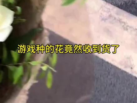 我竟然收到游戏里种的花了 #我的花园世界 #玩游戏送真花