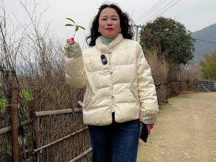 翻山越岭找土牛! 好牛真的难找,但只要能让大家吃上放心的土黄牛肉,再远的山、再弯的路,牛大嫂都愿意跑!#生态放养 #农村美食 #乡村味道 #乡村守护人