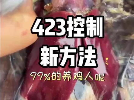 生态散养土鸡,看看423控制霍乱新方法!#江西土鸡 #广东土鸡 #三黄鸡 #生态散养土鸡 #鸡病诊断 @抖音小助手 @抖音创作者中心 @抖音来客官方助推官