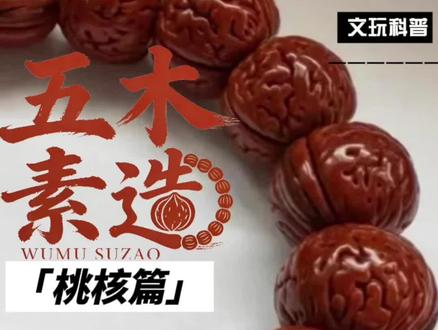 桃核快速变红 #文玩核桃手串 速成桃核变红 包浆 玉化方法#桃核 #桃核手串 #文玩核桃知识 #盘串