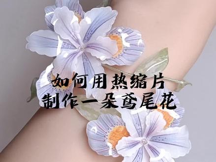这么好看的热缩鸢尾花,快来@你的冤种闺蜜来学,教程就放这儿了!#热缩片 #手工diy
