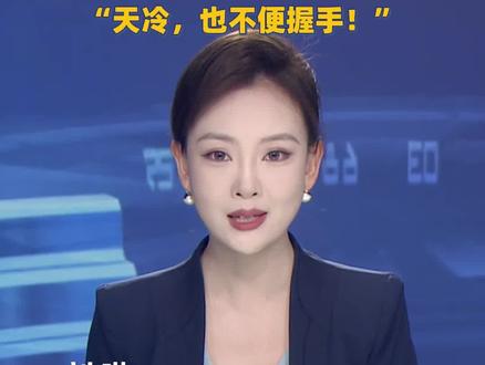 外交部亚洲司司长刘劲松回应手插兜:“天冷,也不便握手!”