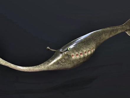 地球上的远古异形,塔利怪物 #世界未解之谜 #远古生物 #古生物 #科普 #科普一下