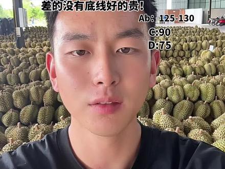 泰国东部榴莲产地行情分享 榴莲市场又要变天!货少抢货涨价,马上到货多问题货的出现甚至比例偏多,一定因为质量问题拉低整体价格,导致榴莲整体掉价,但是好货依然价格不会下落太多,因为好货太少!不够抢不够分 好货供不应求!未来泰国南部北部东北部产区都要陆续入场。正式进入拼质量拼工厂做货水平的时代#泰国金枕榴莲 #水果批发#水果搬运工#泰国榴莲原产地 #榴莲