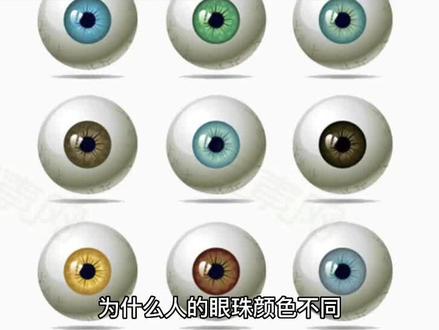 为什么人的眼珠颜色不同?#科普 #知识分享