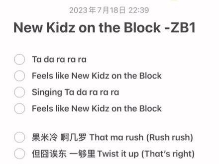 【音译】New Kidz on the Block - ZB1 全曲歌词中文空耳音译#zb1 #zerobaseone #章昊 #韩维辰 #ricky