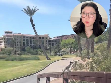 走鹃,谁说小鸟跑不快 #动物科普 #神奇动物在抖音 #走鹃