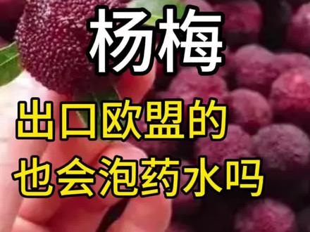 出口欧盟的杨梅也会泡药水吗 出口欧盟的杨梅也会泡药水吗#食品科学与安全 #农业科技#营养健康 #农残检测