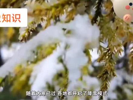 #河南大雪#冰针# 粮仓# 气象#
