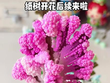 纸树开花后续来啦 #解压视频 #手工diy #手工教程 #纸树开花