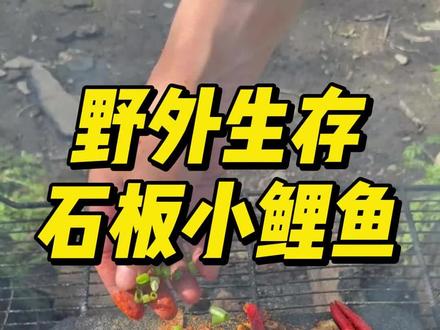 在野外的小水坑里,发现一条鲤鱼,拿回营地煎着吃,味道好极了。#荒野求生 #野外生存 #我的乡村生活 #农村生活