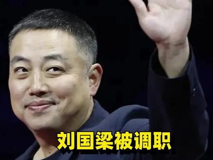 刘国梁被调离国家队,国乒集体罢赛抗议,那年到底发生了什么?