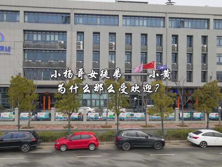 小杨哥女徒弟红绿灯的黄,为什么那么受欢迎?#红绿灯的黄 #小杨哥#小杨哥徒弟#三只羊网络 #红绿灯的黄直播名场面