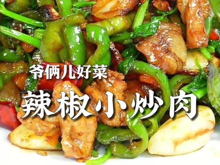 辣椒小炒肉简单家常,肉片焦香不腻,鲜辣入味,一碗米饭根本不够!#上抖音学做菜 #美食卷王挑战赛 #美食创作人计划