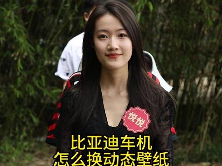 比亚迪车机怎么换动态壁纸#比亚迪 #汽车知识