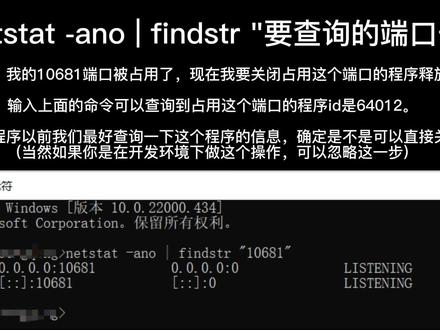 java程序员必备技能之,windows下查询占用某个端口的程序并释放端口。#java #windows #端口占用