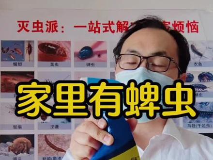 家里有蜱虫怎么清除?家里有蜱虫幼虫怎么才能彻底消灭#蜱虫太可怕了 #蜱虫的危害 #蜱虫叮咬