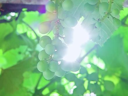 曙光,梦开始的地方!#学校宣传片 #曙光欢迎你