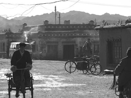 上集看热血,下集看匠心!制作特辑下集高能来袭!🔨 #生命树 #杨紫 #胡歌 #白菊 #多杰