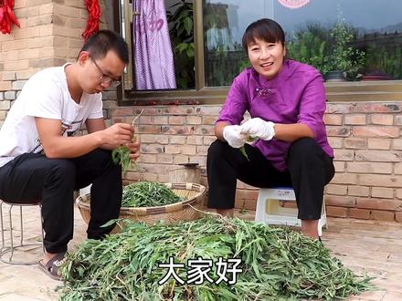 秋季最后拔波苦菜,春姐腌好存着冬天吃,自己在家做,酸爽超下饭 #印象陕西 #陕西吃啥 #抖音美食制作人