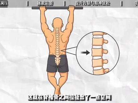 悬挂训练对身体有哪些好处?#健身#科普#悬挂