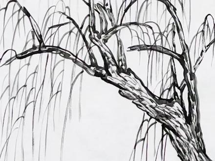 垂柳枝干皴擦、柳条的画法技巧
#一起学画画 #国画 #国画也抖音 #想画就画 #传统文化 #每日一画 #画画