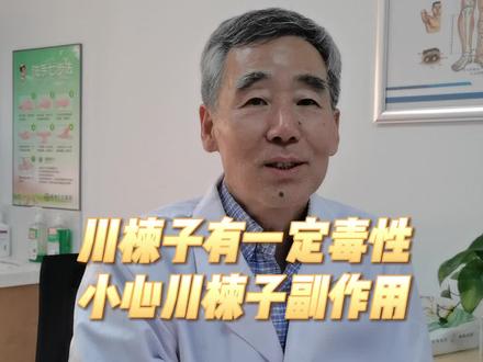 川楝子很多人用来泡水喝,小心对身体有害!#中医 #中医传承