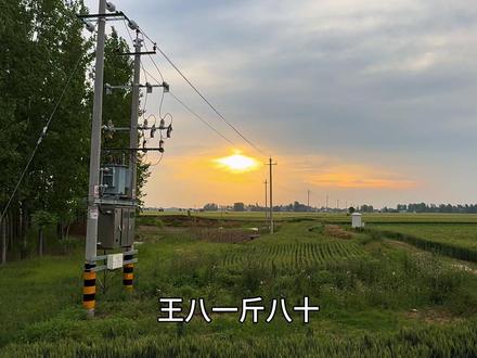 同样是豆子 凭什么红豆配相思 绿豆却只能配王八 后来才知道 红豆味苦有小毒 绿豆清热解毒还泻火 红豆越煮越苦 王八越炖越补 故而相思味苦 王八大补 相思一文不值 王八一斤八十 年少不知相思苦 中年才知王八补#治愈系风景 #情感共鸣 #人生感悟